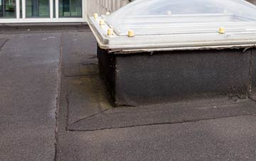 disadvantages of Lower Street flat roofs